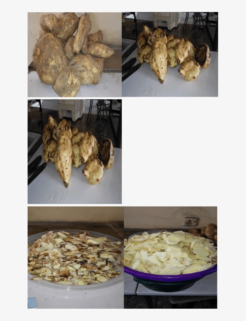 Processing Of Sweet Potato - Ginger, transparent png download