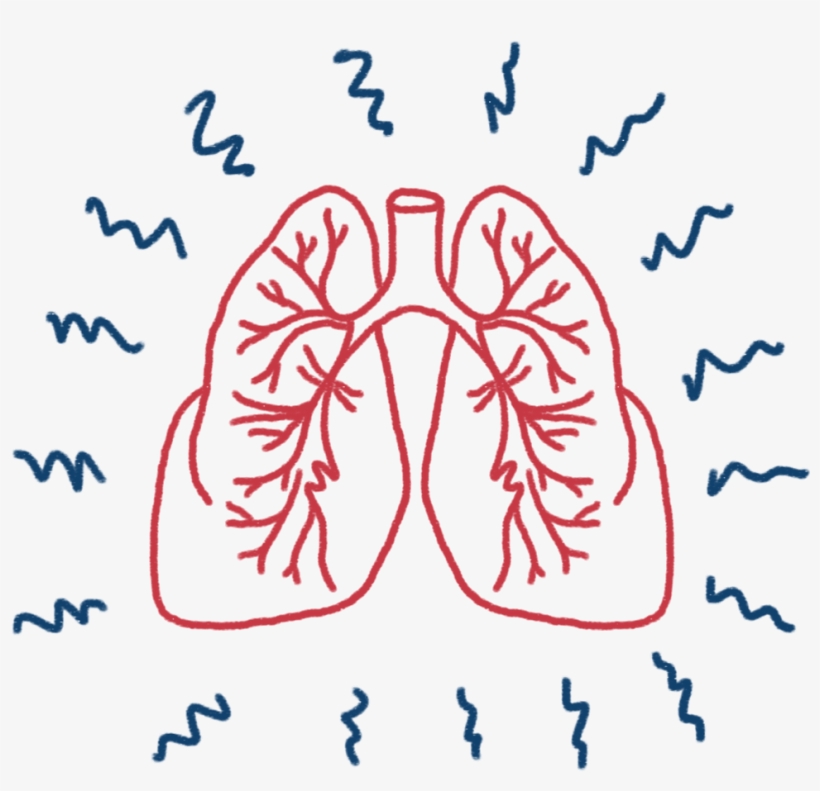 To Find Advice On How You Can Help Reduce And Avoid, transparent png download