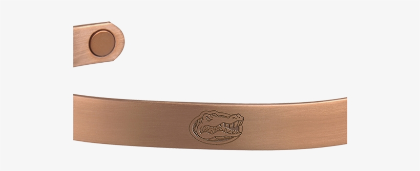 University Of Florida Gators - Plywood, transparent png download