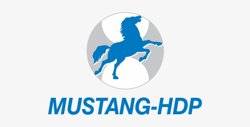 Mustang Hdp Jobs 2015 Saudi Arabia Apply Online - Mustang Engineering, transparent png download