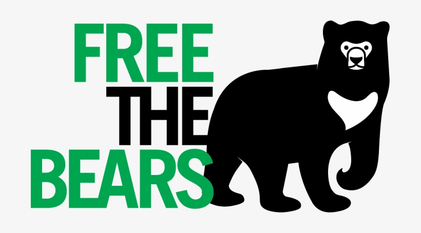 Free Bear, transparent png download