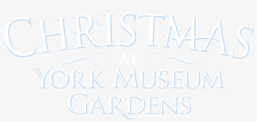 John Mccain Presidential Campaign, 2008, transparent png download