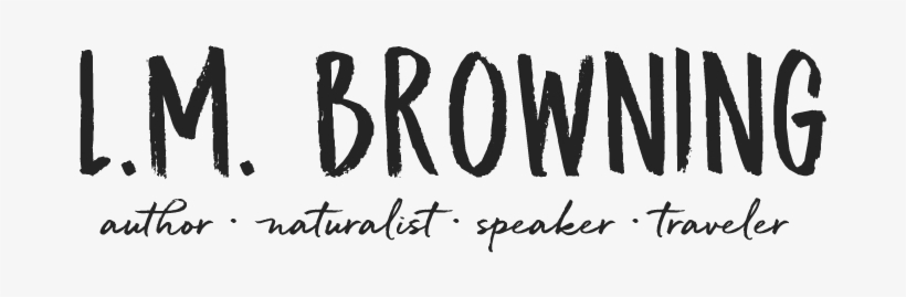 Explore Leslie's Literary Offerings - Missileman By John Clauson, transparent png download