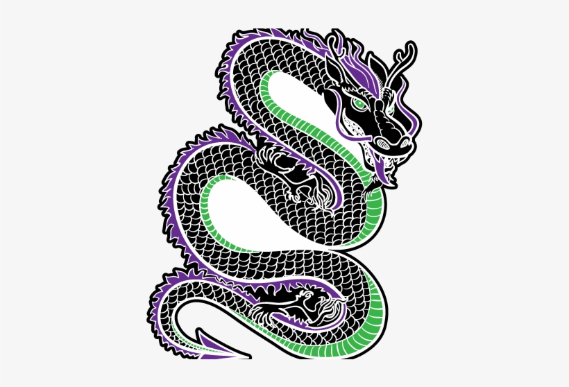 Cropped Dragon Logo 3 - Sunshine Coast, Queensland, transparent png download