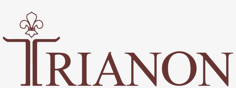 Creating Original Jewels With Unusual Combinations - Vera Wang Logo Png, transparent png download