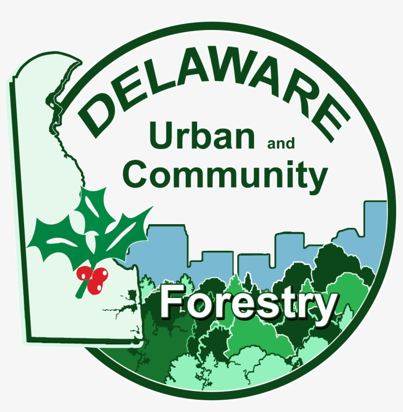 6th Annual Delaware Arborist & Tree Care Seminar Will - Arborist, transparent png download