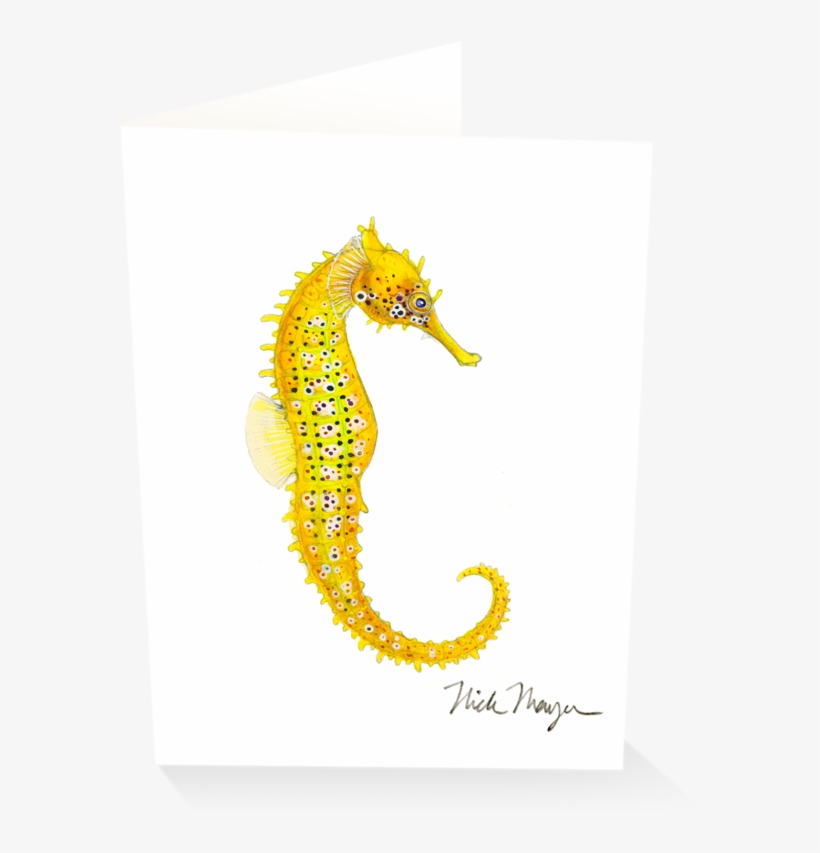 Pacific Seahorse Iii - Syngnathidae, transparent png download