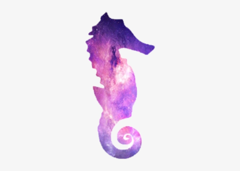 Freetoedit Scseahorse Seahorse - Aiòn. Teoria Generale Del Tempo, transparent png download