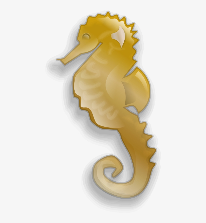 How To Set Use Seahorse Clipart, transparent png download