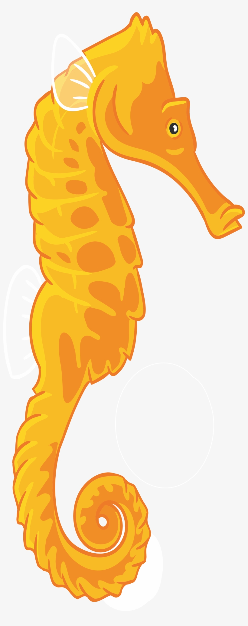 Seahorse Cartoon Drawing Illustration - Caballito De Mar Dibujo, transparent png download