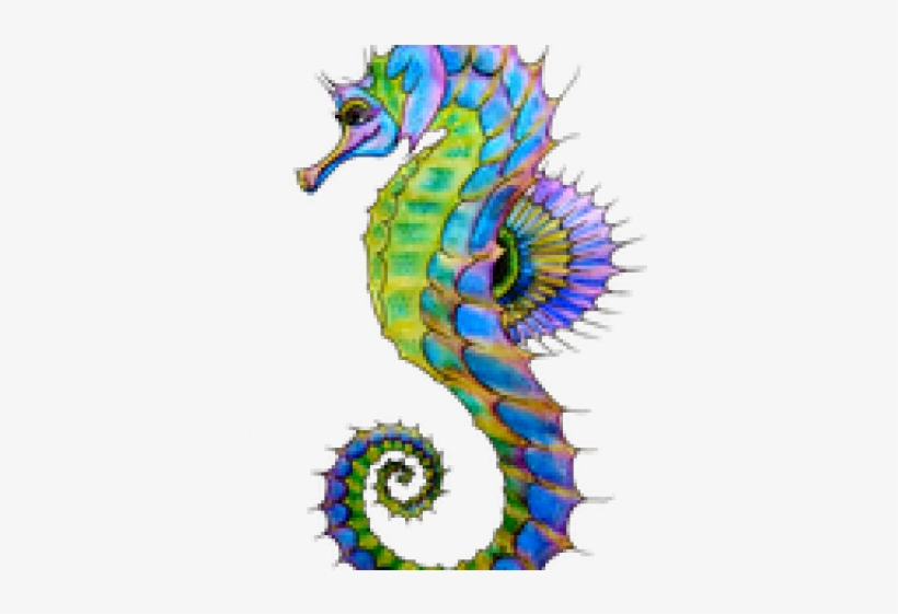 Seahorse Art, transparent png download