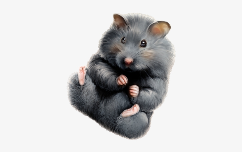 Обсуждение На Liveinternet - Portable Network Graphics, transparent png download