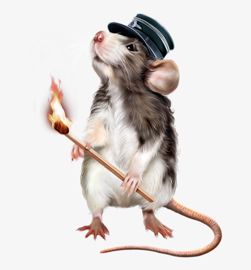 Обсуждение На Liveinternet - Kangaroo Rat, transparent png download