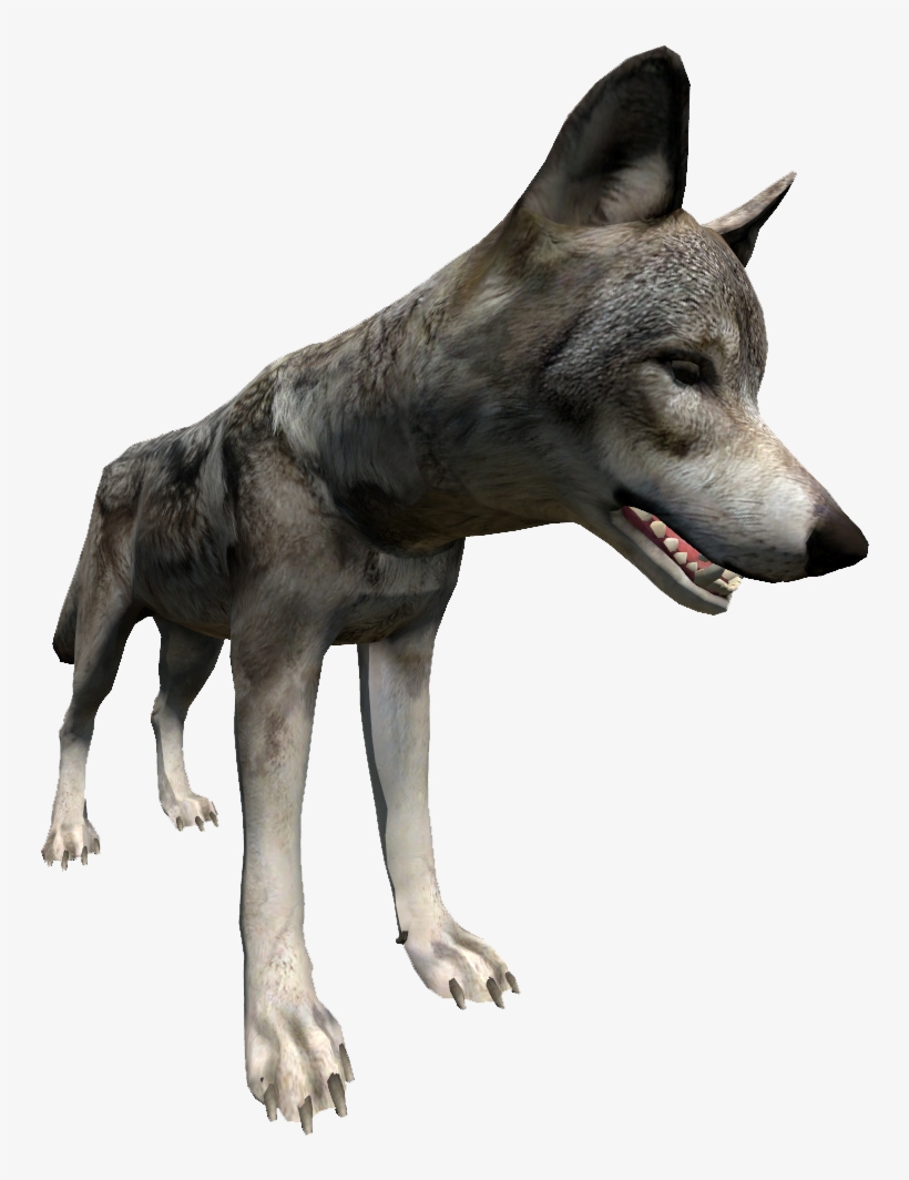 Wolf Close Up Right - Wolf, transparent png download