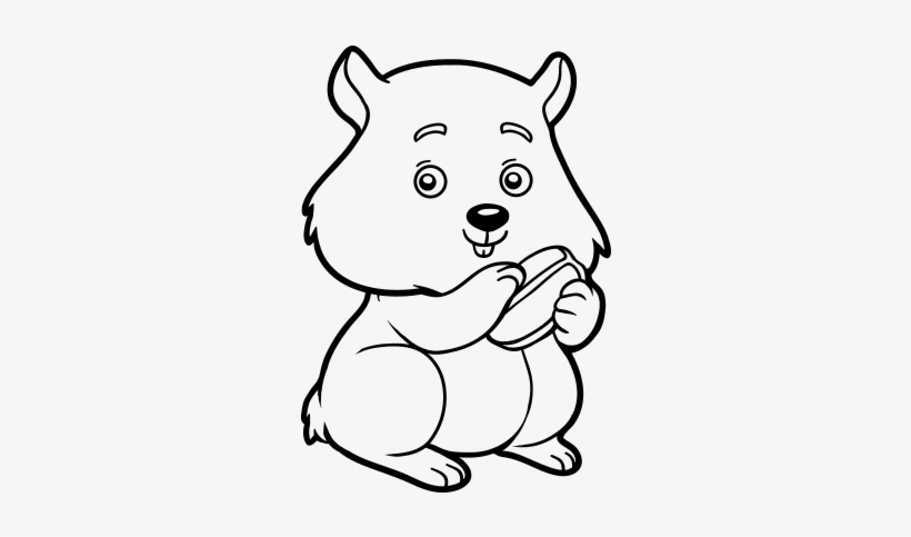Criceto Disegno, transparent png download