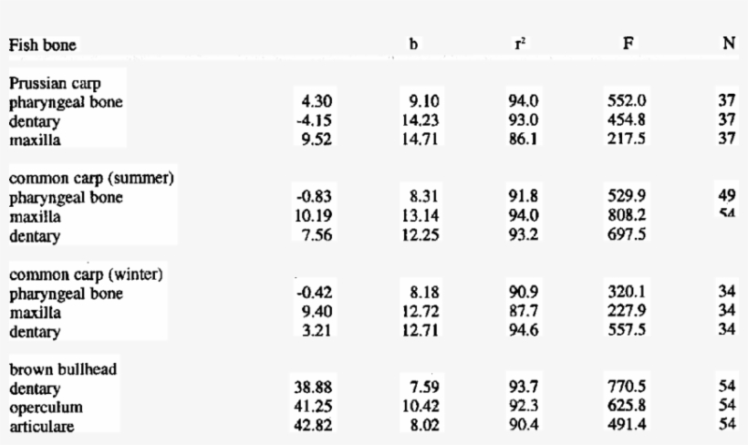 Linear Relationships Between Fish Bane Measurement& - Number, transparent png download