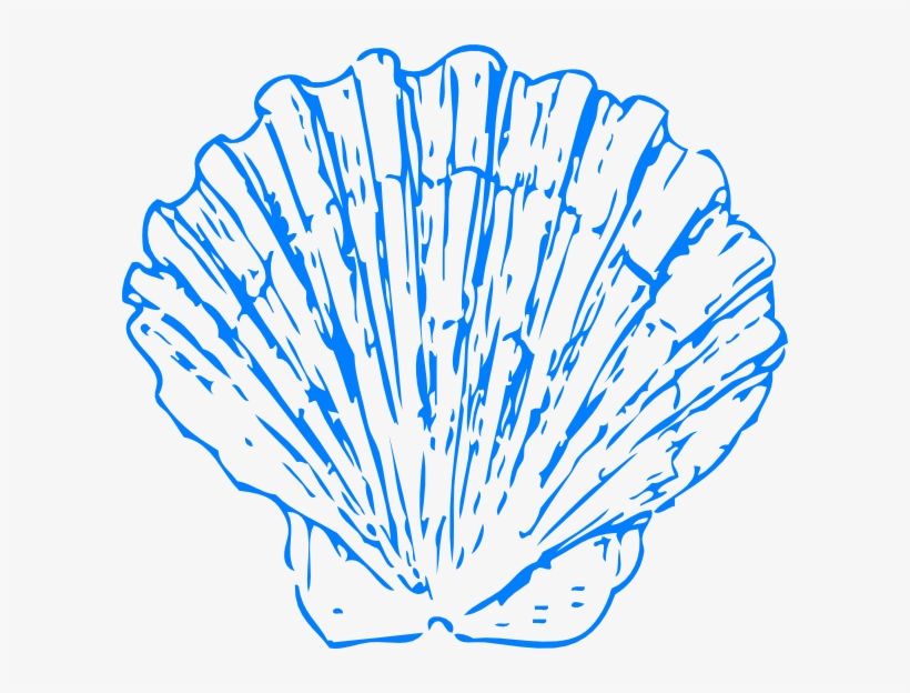 Shell Clipart Png Clipartfest Shells Clipart Png 600 - Shell Clipart Png, transparent png download