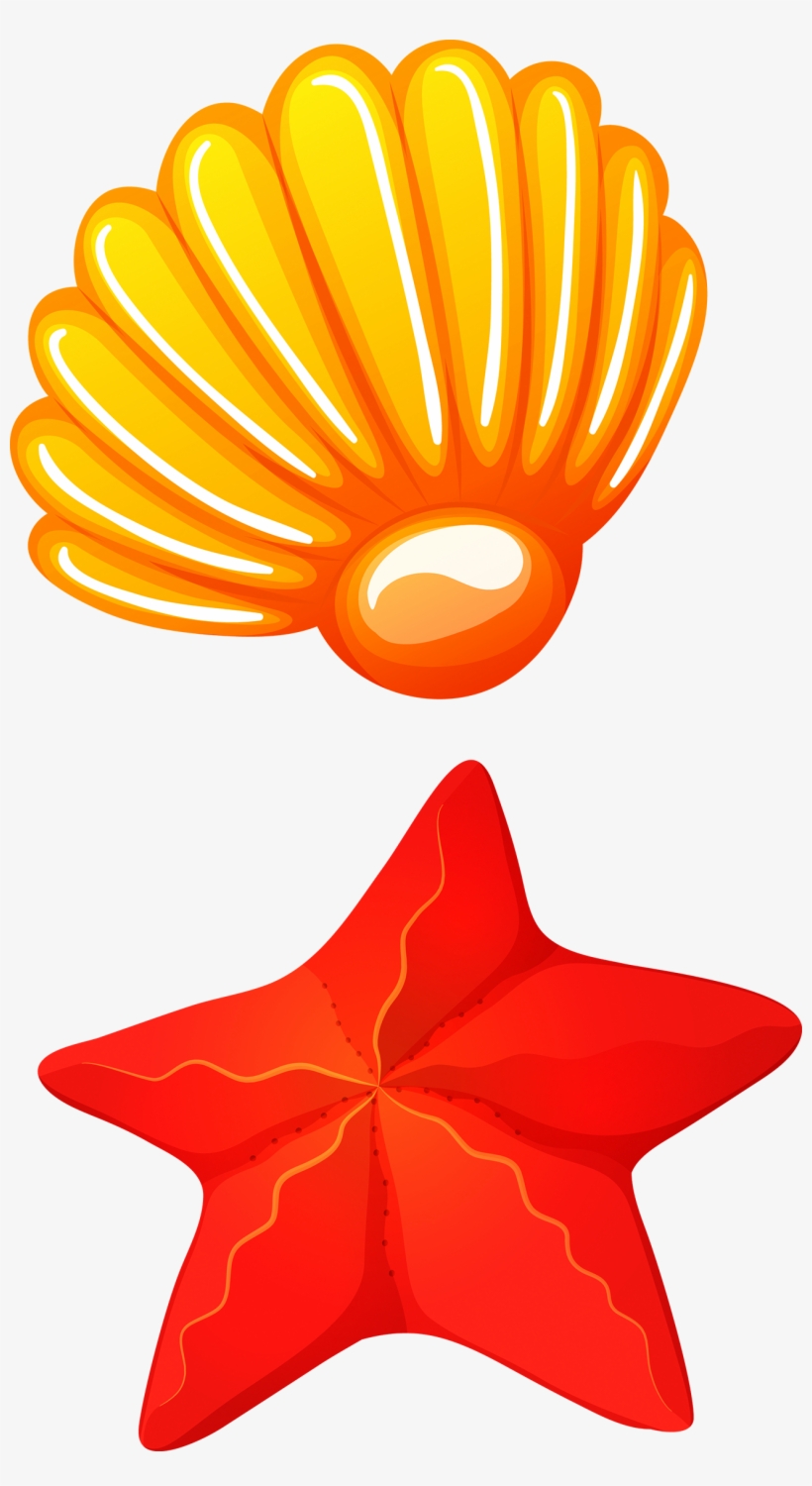 Seafood Seashell Clip Art - Seashell, transparent png download