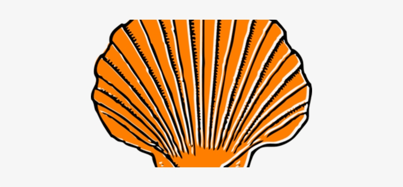 Seashells Png Download Seaside Huge Freebie - Transparent Sea Shell Clip Art, transparent png download