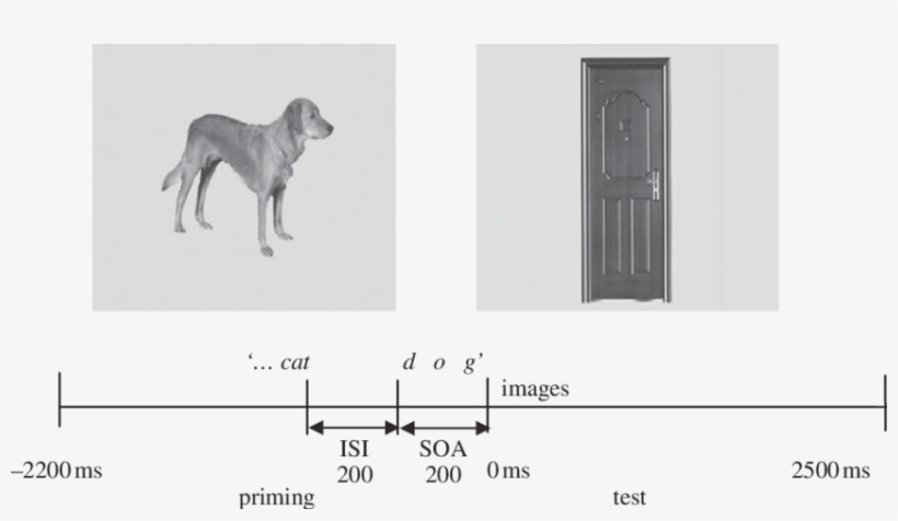 Example Of A Trial Sequence And The Four Conditions - Cat, transparent png download