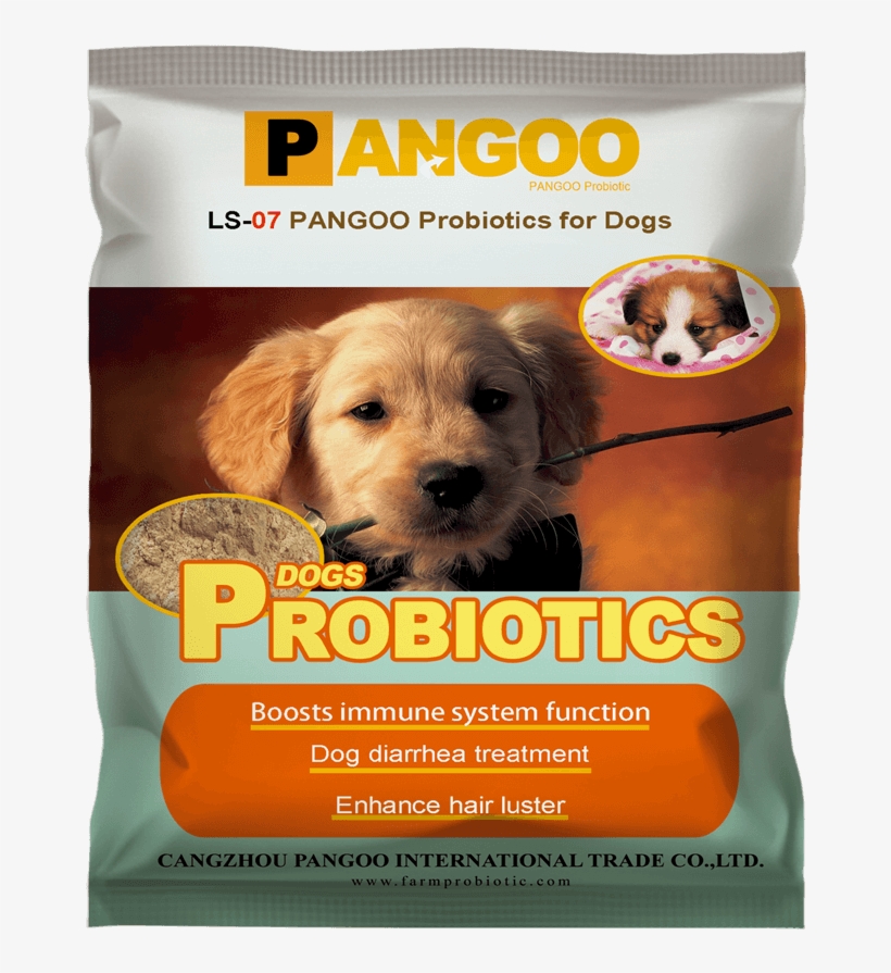 Probiotics For Dogs - Probiotics Pigs, transparent png download