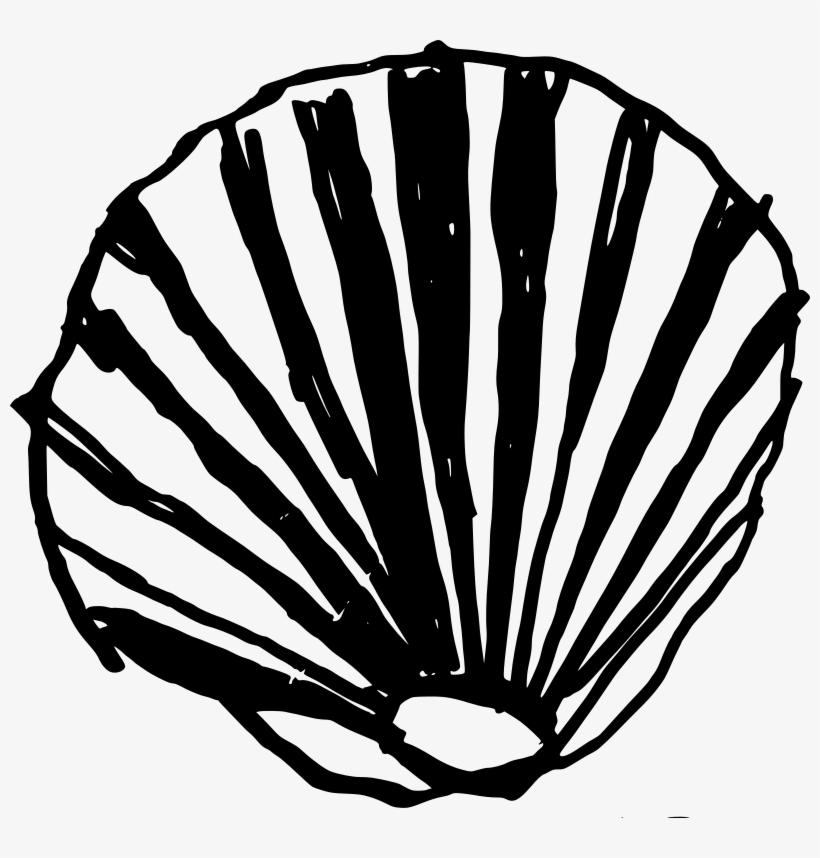 Shell Clipart Png Download - Clip Art Shell, transparent png download