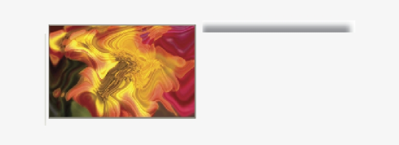 Dahlia, transparent png download