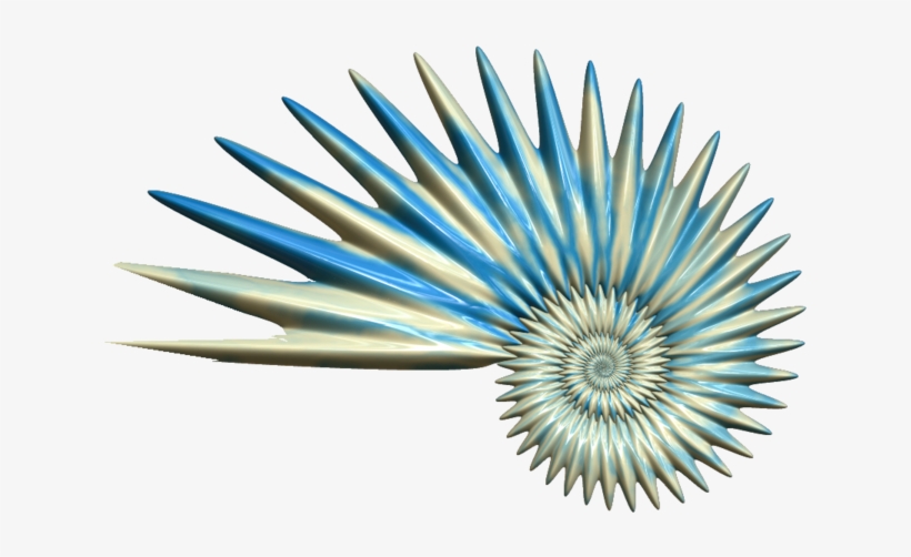 Net Quality - Seashell, transparent png download