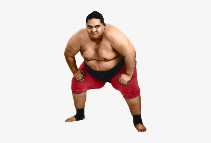 Sumo Png - Transparent Sumo Wrestler Png Transparent PNG - 323x474