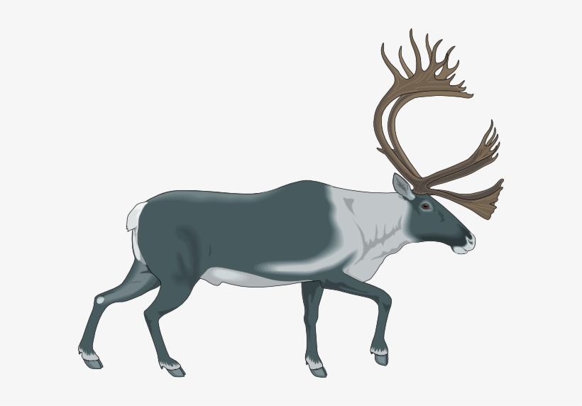 Walking Moose Svg Clip Arts 600 X 492 Px, transparent png download