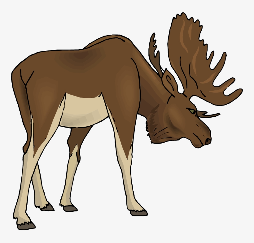 Free - Clipart Moose, transparent png download
