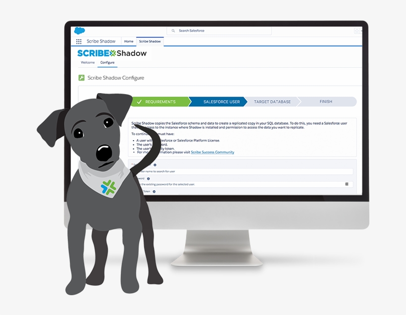 Applications - Companion Dog, transparent png download