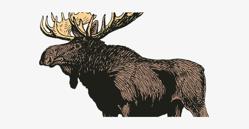 Petition Vermont Fish And Wildlife Department Time - Vector Graphics, transparent png download