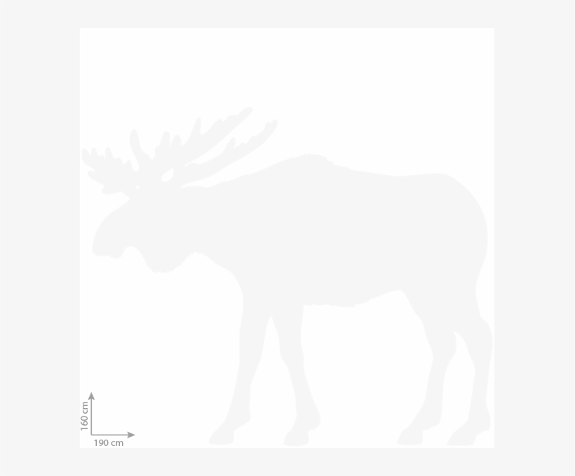 Behangbeest Eland - Behang - Muurprint - Eland Links - Breed 190 X Hoog, transparent png download