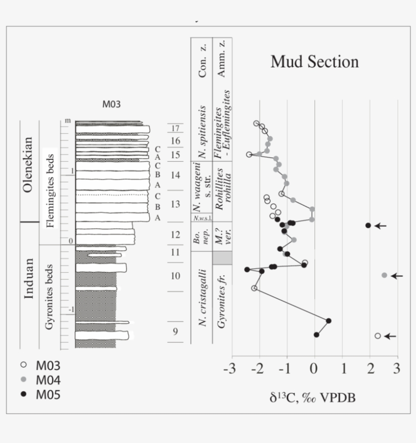 Δ 13 C Curve Of The Mud Section, Spiti, Indian Himalaya - Diagram, transparent png download