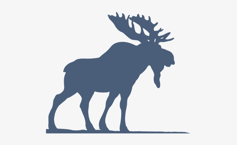 Digital Moose - Design Iphone 7 Plus Tough Case, transparent png download