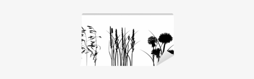 Black Grass Silhouettes Isolated On White Wall Mural - Illustration, transparent png download