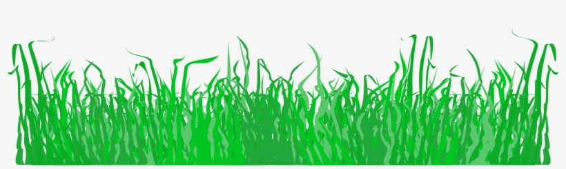 Grass Clipart Pdf - Grass Illustration Png, transparent png download
