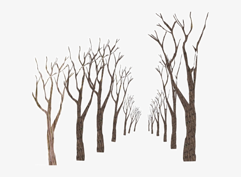 Arbre,png - Portable Network Graphics, transparent png download