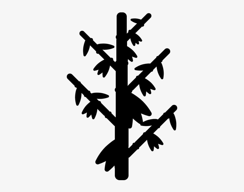 Bamboo, transparent png download