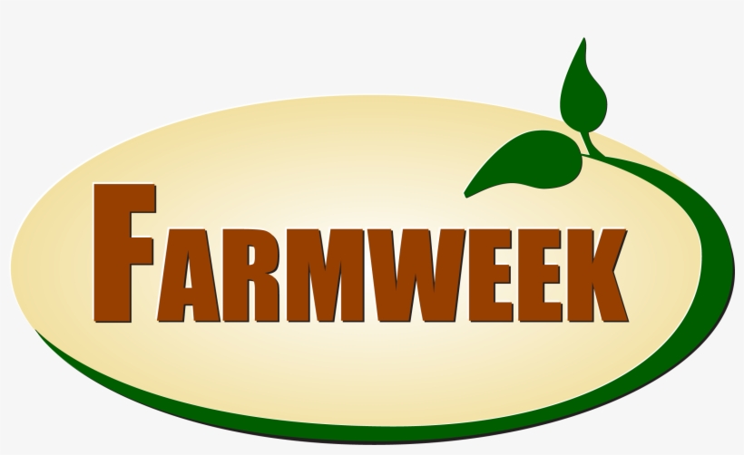 Watch Now - Impact Font, transparent png download