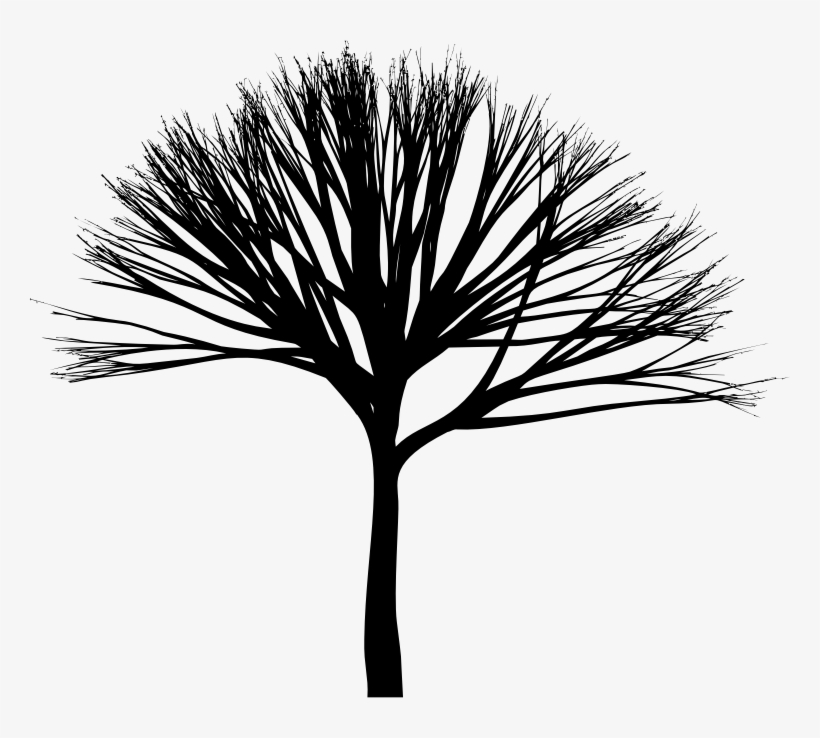 Medium Image - Silhouette, transparent png download