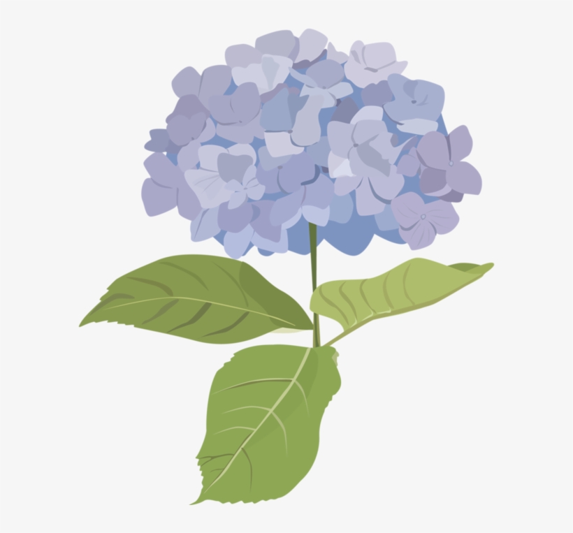 Fleurs Tube Flowers Png Pinterest And Belle - Hydrangea, transparent png download
