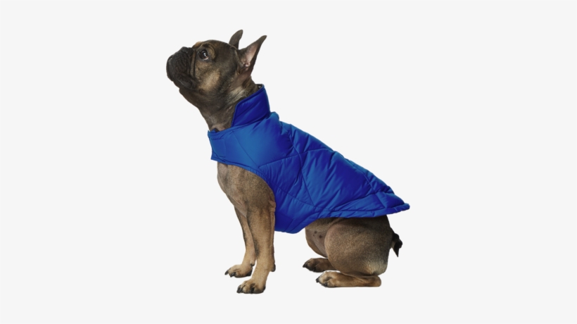 Https - //cdn - Shopify - Com/s/files/1/ - Dog Diamond Quilted Down Vest, transparent png download