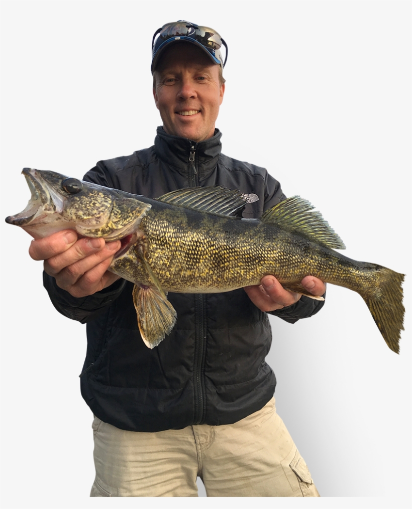 Gammon River East Outcamp - Carp, transparent png download