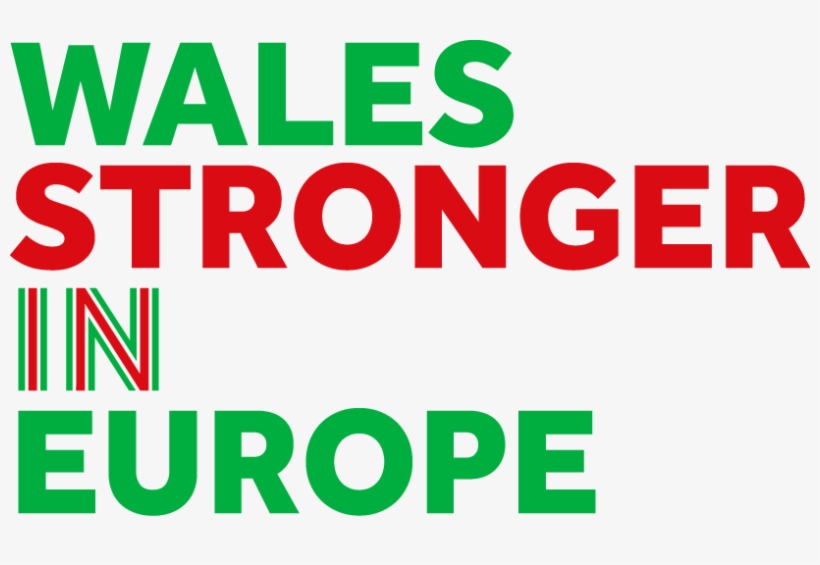 Stronger In - Britain Stronger In Europe, transparent png download