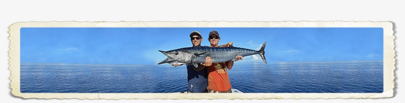 Copy - Jigging, transparent png download