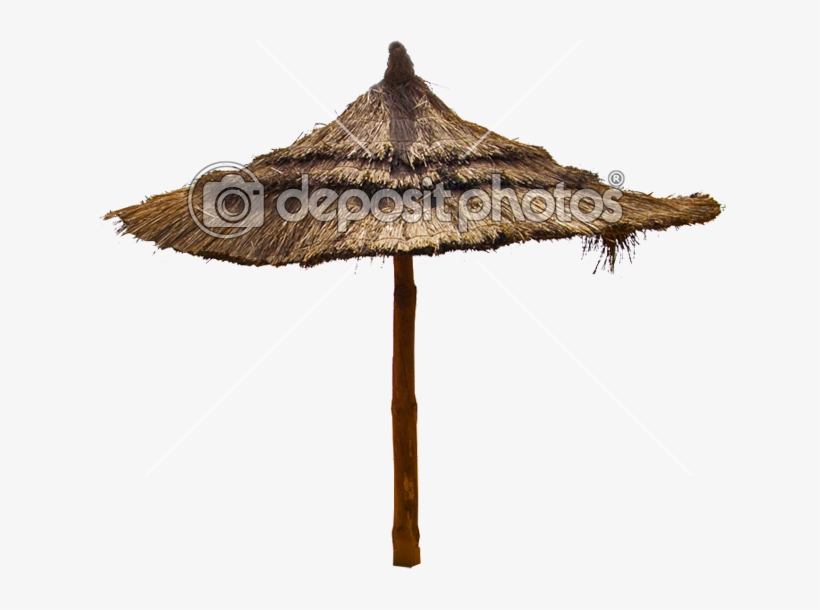 01 C Bulletsfw - Beach, transparent png download