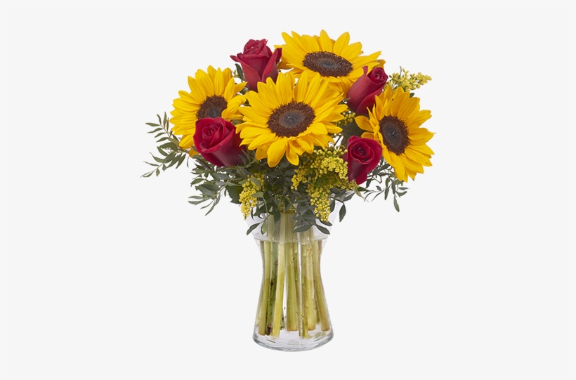 Girasoles Y Rosas Rojas - Red Roses With Sunflowers, transparent png download