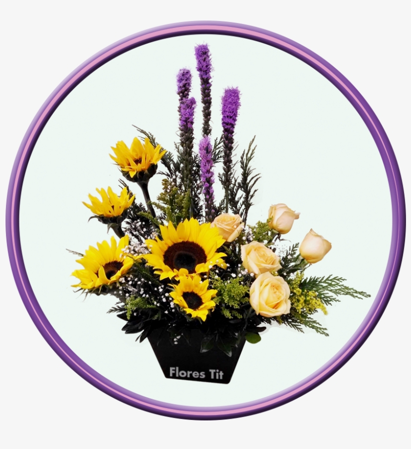 Imagen De Girasol - Mexico City, transparent png download